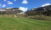 Randonnée Marche La Sure en Chartreuse - Au départ du col de la placette - Photo 11