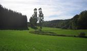 Percorso A piedi Rheinböllen - Natur-Erlebnisweg Schinderhannes - Photo 2