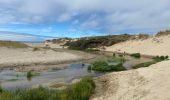 Tocht Stappen Condette - Dunes d’Ecault depuis le château d’Hardelot - Photo 8