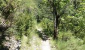 Randonnée Marche Châtillon-en-Diois - Les Cabanes de Châtillon (Glandasse) - Photo 6