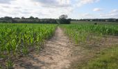 Percorso A piedi Warwick - ACW Circular Walk 04A (short-cut for C04) - Photo 2