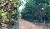 Trail Walking Banon - Le Largue  - Photo 2