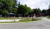 Trail On foot Brasov - Brașov (centru) - Stejerișul Mare - Poiana Mică - Photo 6