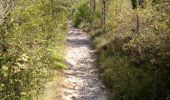 Trail Walking Saint-Chamassy - St Chamassy 19,5km - Photo 3