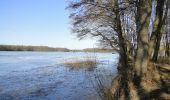 Tocht Te voet Dümmer - Rad-Wanderweg - Photo 1