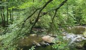 Trail Walking Wellin - rando daverdisse 25/08/2020 - Photo 11