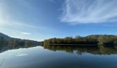 Tour Wandern Yvoir - Entre Meuse et Bocq, départ de Mont - Photo 7