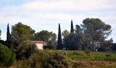 Randonnée Marche La Londe-les-Maures - Notre Dame des Maures - Dolmen de Gauttobry  - Photo 2