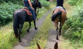 Excursión Paseo ecuestre Brouville - Avec Nadine Fred brouville grammont Tivio  - Photo 5