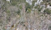Randonnée Marche Oppedette - Gorges d'Oppedette - Photo 20