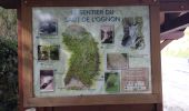 Excursión Senderismo Servance-Miellin - Servante Saut de l'oignon - Photo 3