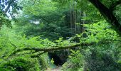 Randonnée Marche Vitrac - Boucle de Marobert - Photo 1