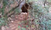 Trail Walking Cabasse - Trou des fées,Notre Dame du Glaive et le Dolmen de la Gastée - Photo 15