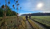 Trail Walking Philippeville - Balade de Roly à Villers-en-Fagne - Photo 8