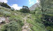 Trail On foot Plan-d'Aups-Sainte-Baume - Massif Sainte Baume et pas de l’Aï 15 km - Photo 8