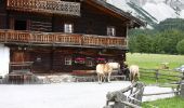 Tour Zu Fuß Ramsau am Dachstein - Panoramaweg West 