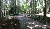 Excursión A pie Mendicino - (SI U24) Casellone Forestale di Monte Cocuzzo - Passo della Crocetta - Photo 1