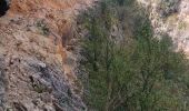 Trail Walking Abizanda - Liguerre de Cinca les gorges de Cinca. - Photo 10