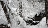 Trail Snowshoes Basse-sur-le-Rupt - 20210102_raq_Planois_Chalet-des-Charmes - Photo 1