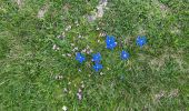 Excursión  Angoustrine-Villeneuve-des-Escaldes - Les Bouillouses  - Photo 1