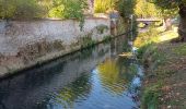 Tocht Stappen Crécy-la-Chapelle - Crécy-la-Chapelle  - Photo 5