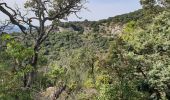 Excursión Senderismo Bollène - Barry - Photo 1