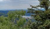 Tour Wandern Celles-sur-Plaine - celles sur plaine - Photo 4
