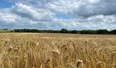 Tocht Stappen Tervuren - Le long du Voer - Photo 11