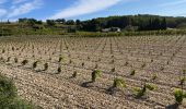 Tour Wandern Cairanne - PF-Cairanne - Sentier Magnum - Photo 7