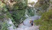 Excursión Senderismo Auriol - Ste Baume - Auriol :  Les trois ravins  - Photo 2