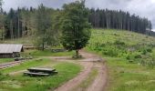 Trail Walking Sainte-Marie-aux-Mines - 2020-06-20 Marche Tete du Violu Col de Ste Marie - Photo 6