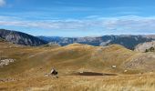 Tour Wandern Colmars - Col de l