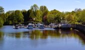 Tour Zu Fuß Bremervörde - Nordpfad 'Vörder See - Osteland' - Photo 9