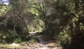 Trail Walking Torroella de Montgrí - Estartit - Photo 15