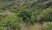 Excursión Senderismo Aureille - la tour des Opies - Photo 2