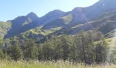 Trail Walking Seyne - SEYNES LES ALPES . Grand puy , montagne de la Blache , cabane du Mulet o l s - Photo 11
