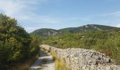 Excursión Senderismo Lodève - Fontbonne Grézac - Photo 7