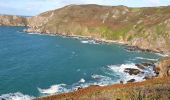 Trail Walking La Hague - Herquemoulin-Cap de la Hague  - Photo 2