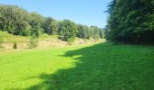 Trail Walking Ciney - Conjoux 300724 - Photo 7