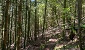 Trail Walking Saulcy-sur-Meurthe - Les roches du Kemberg - Photo 7