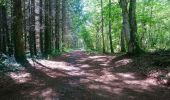 Trail Walking Volvic - Balade au col de la Nugère  - Photo 1