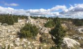 Randonnée Marche Vauvenargues - Sainte-Victoire (accès par Vauvenargues et GR9) - Photo 12