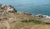 Tour Wandern Cancale - Pointé du Grouin  - Photo 2