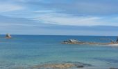 Trail Walking Plouescat - GR_34_GC_45_Plouescat_Plouneour-Brignogan_20250803 - Photo 8