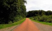 Trail Walking Haramont - en forêt de Retz_79_08_2019_vers Taillefontaine et Retheuil par les lisières - Photo 13