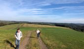Trail Walking Meerfeld - Meerfelder Maar en Waldsbornkratersee (PVDB ) - Photo 8