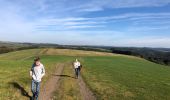 Tocht Stappen Meerfeld - Meerfelder Maar en Waldsbornkratersee (PVDB ) - Photo 8