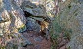 Tocht Stappen Fontainebleau - Sentier Denecourt 3 - Photo 10