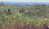 Tour Wandern Plounéour-Ménez - Roch Trévézel  - Photo 13