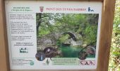 Trail Walking Saint-Cézaire-sur-Siagne - Chapelle Saturnin et bord de Siagne - Photo 3